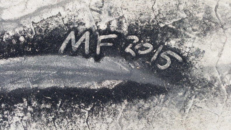 MF2015_Hoffmeister-046.jpg